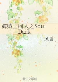 One Piece SoulDark